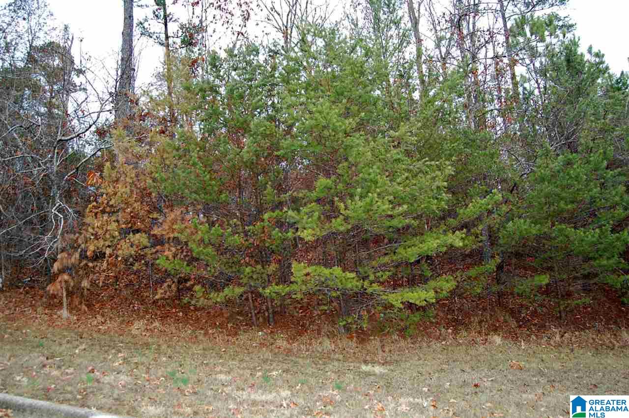 7340 Kings Mountain Road, Unit 115 Birmingham, AL 35242 - Photo 1 of 22