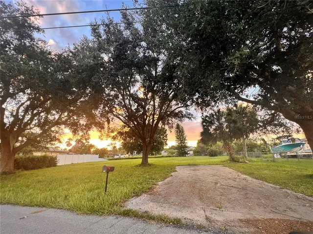 a view of yard with large trees
