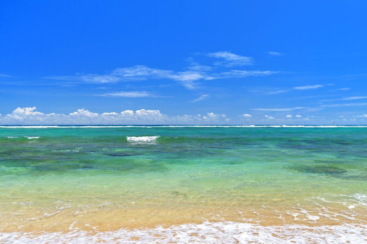 4-820 Kuhio Highway, Unit E103 Kapaa, HI 96746 - Photo 24 of 24 a view of yard with swimming pool and outdoor space