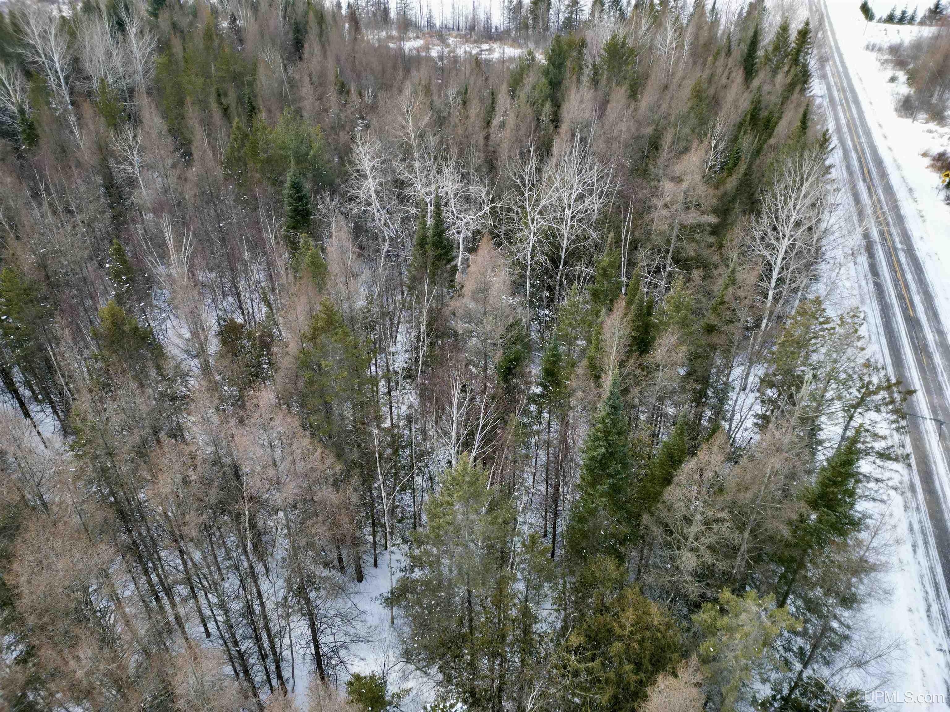 Tbd 8th Road Bark River, MI 49807 - Photo 20 of 25
