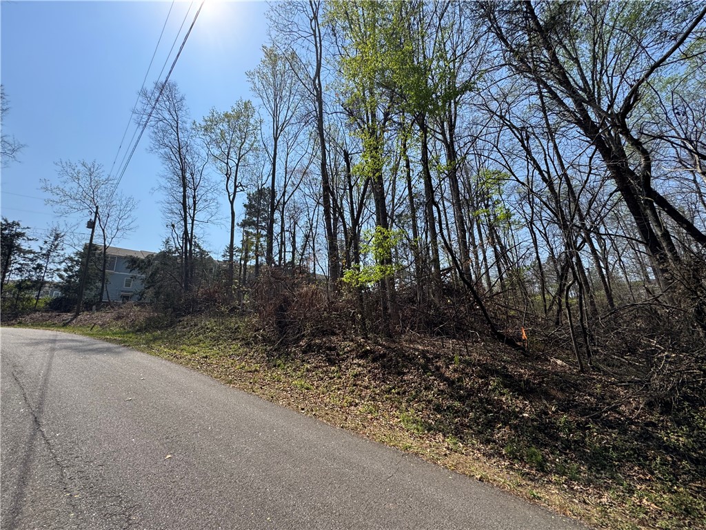 163 Tabor Street Central, SC 29630 - Photo 5 of 7 This undeveloped land parcel offers a serene, wooded setting for future possibilities.