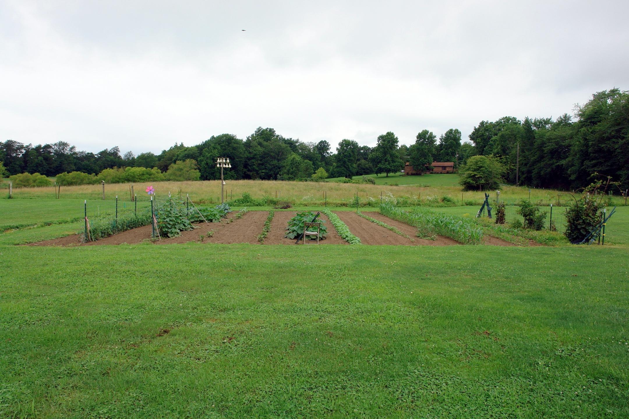 769 Pugh Road Crossville, TN 38555 - Photo 21 of 40 DSC00120