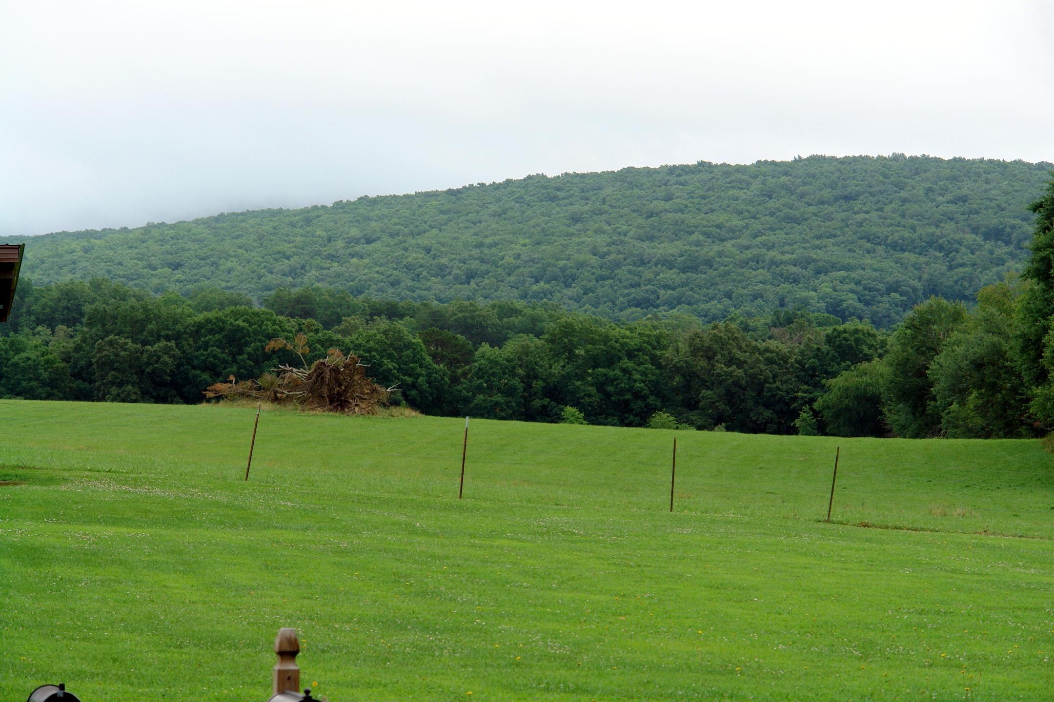 769 Pugh Road Crossville, TN 38555 - Photo 39 of 40 DSC00157