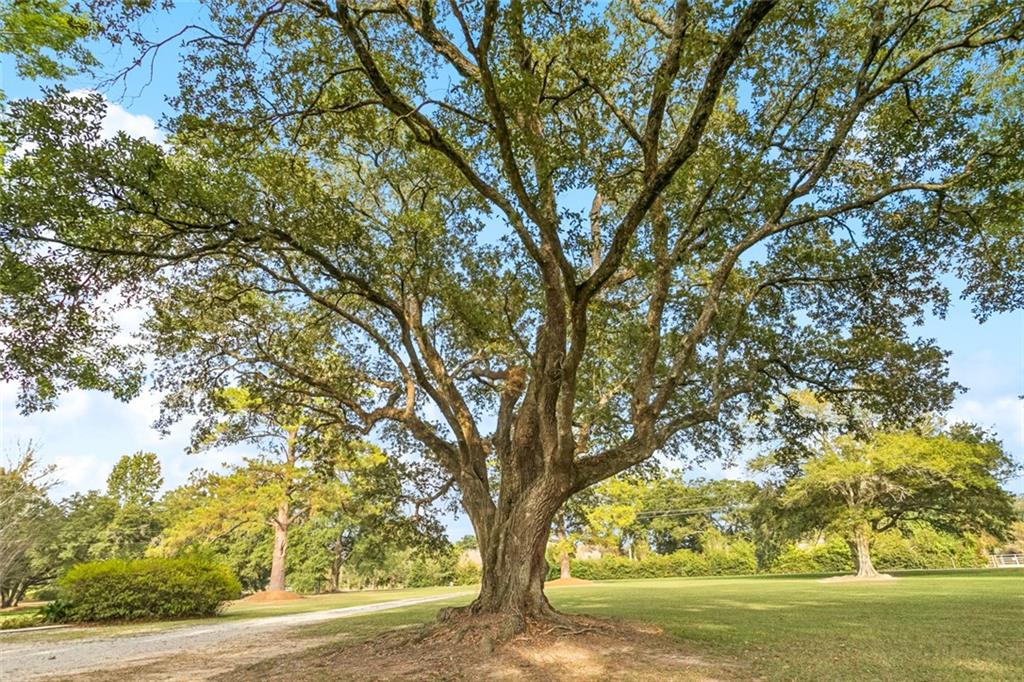 79463 Highway 1129 Covington, LA 70435 - Photo 31 of 38