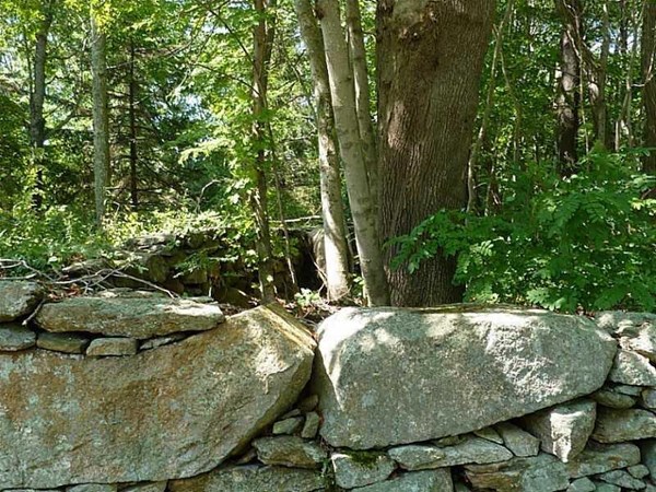 0 Southlake Road Tiverton, RI 02878 - Photo 4 of 9 a view of fountain in a backyard