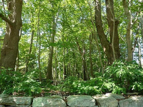 0 Southlake Road Tiverton, RI 02878 - Photo 5 of 9 a backyard of a house with lots of green space and garden