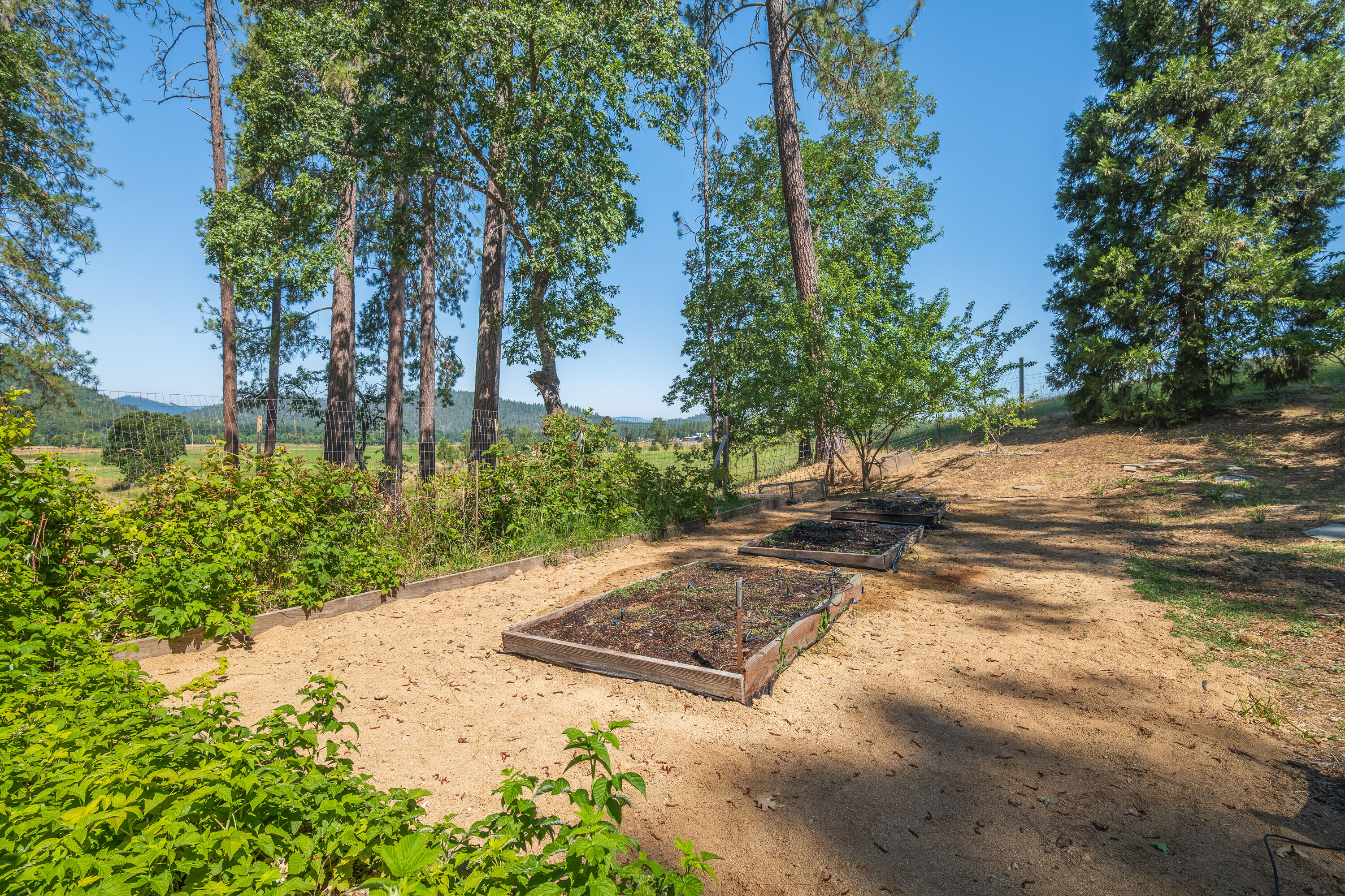 7081 New Hope Road Grants Pass, OR 97527 - Photo 39 of 50 7081NewHopeRd-041