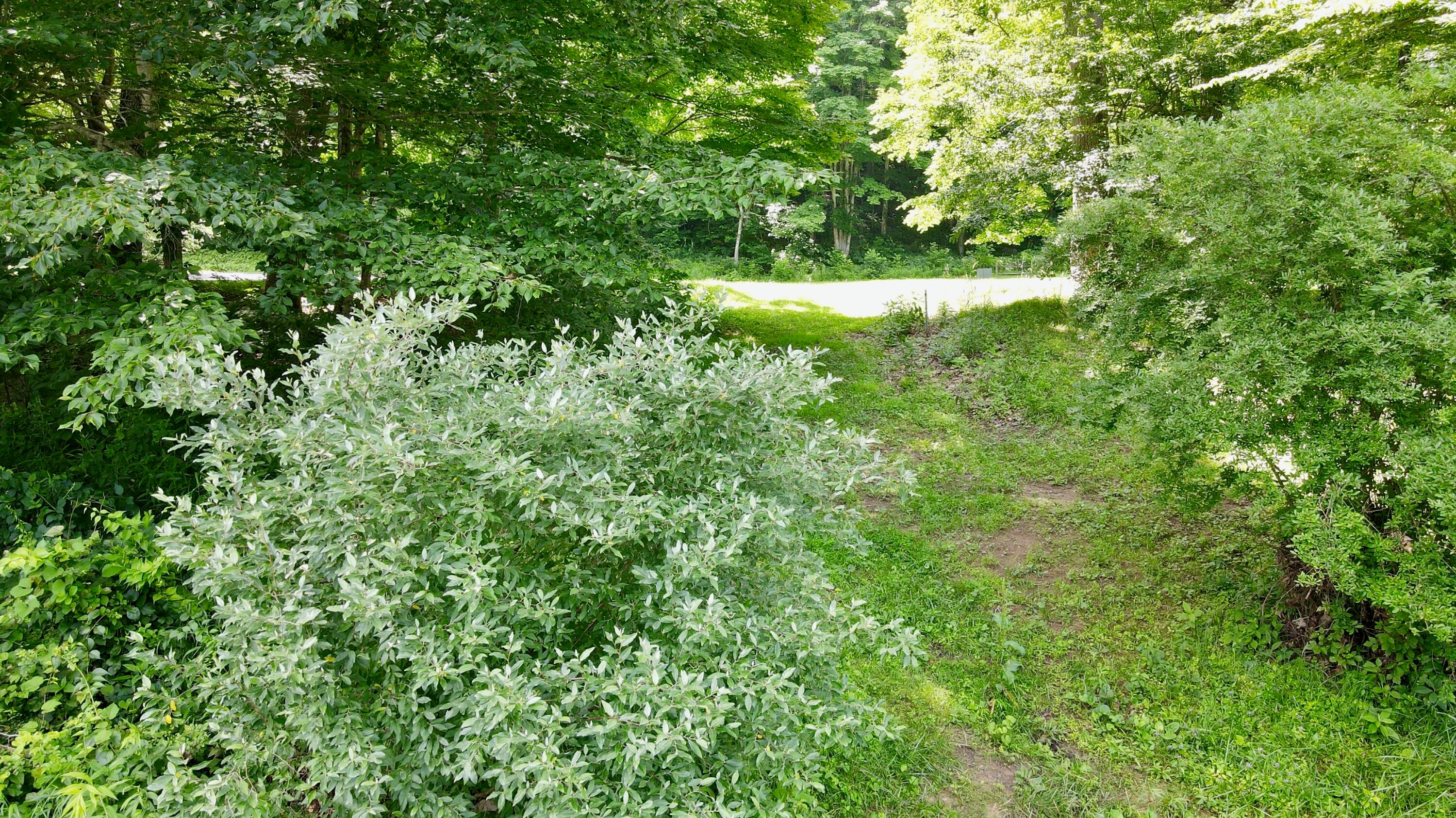 557 Fox Run Road Caldwell, WV 24925 - Photo 19 of 20 Gallery Image 19