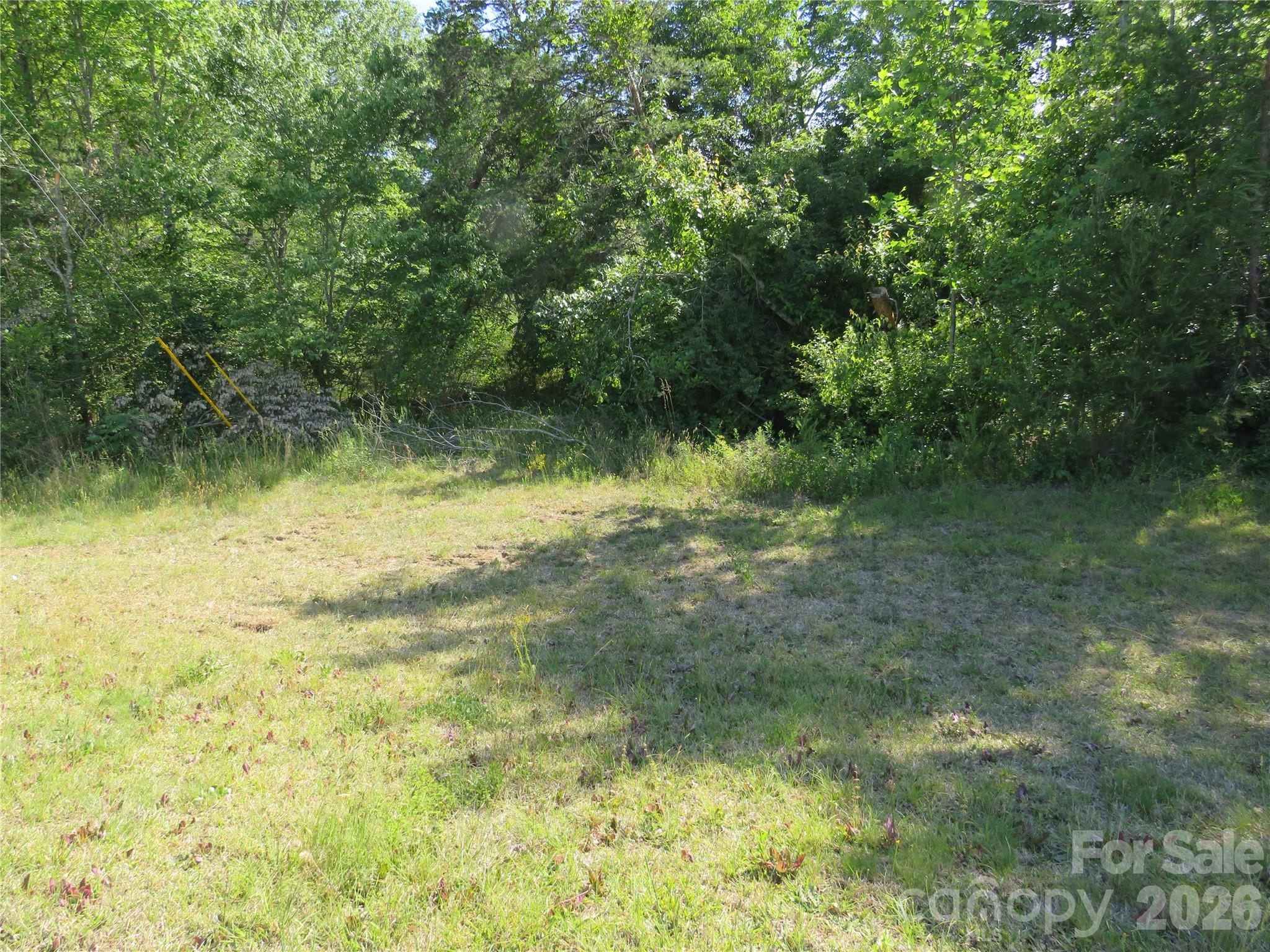 0 Blue Sapphire Lane Rutherfordton, NC 28139 - Photo 5 of 25