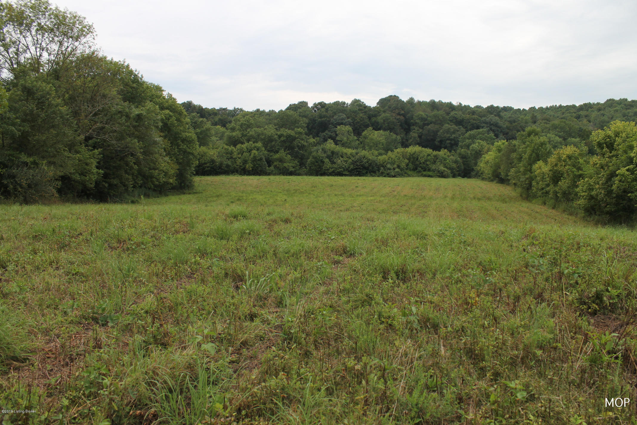 1000 Figett Bend Road Canmer, KY 42722 - Photo 54 of 61 IMG_2321