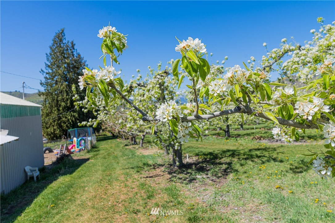 4977 Red Apple Road Cashmere, WA 98815 - Photo 37 of 40 Gallery Image 37