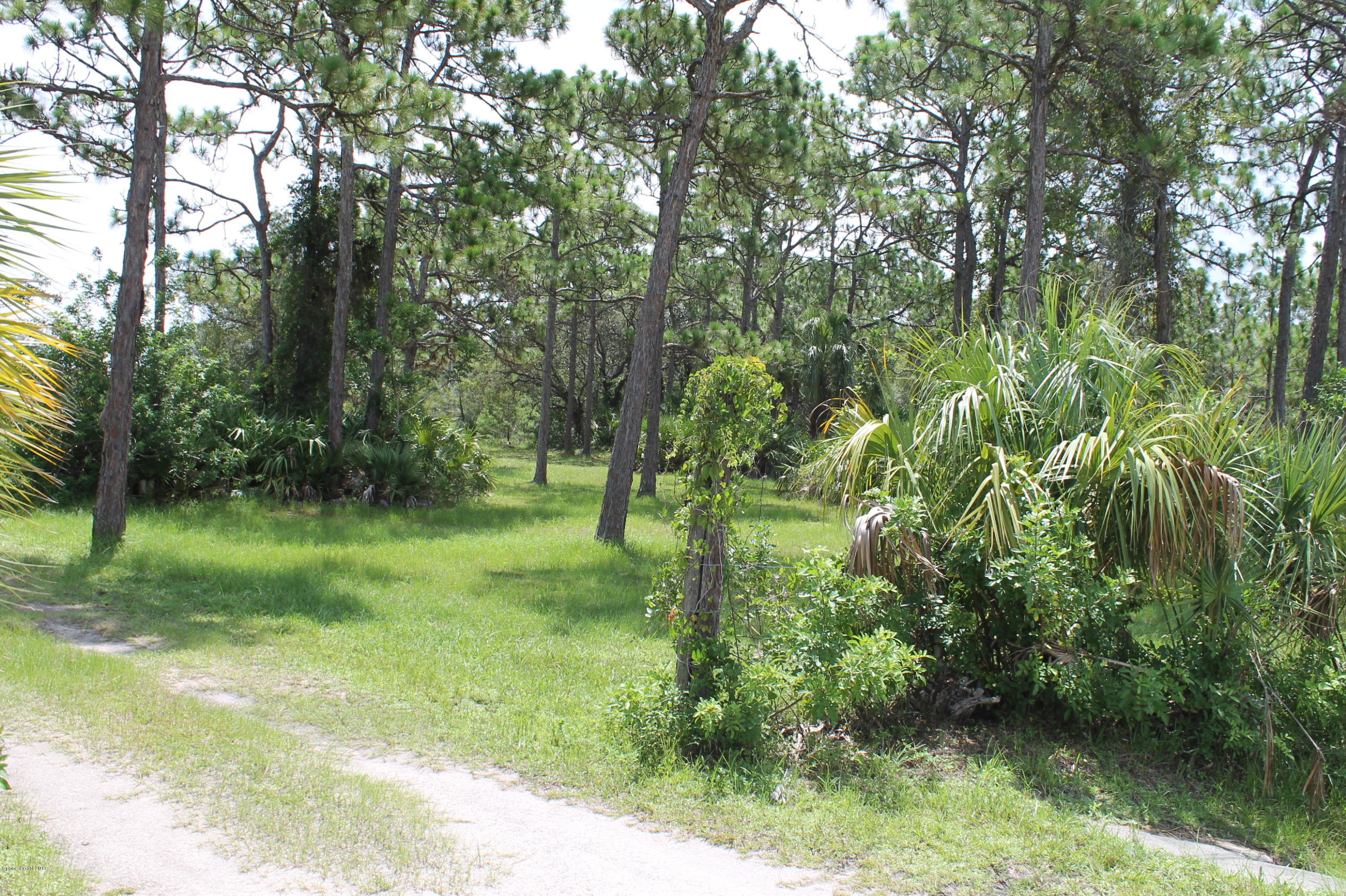 1315 Corey Road Malabar, FL 32950 - Photo 19 of 38 IMG_5293