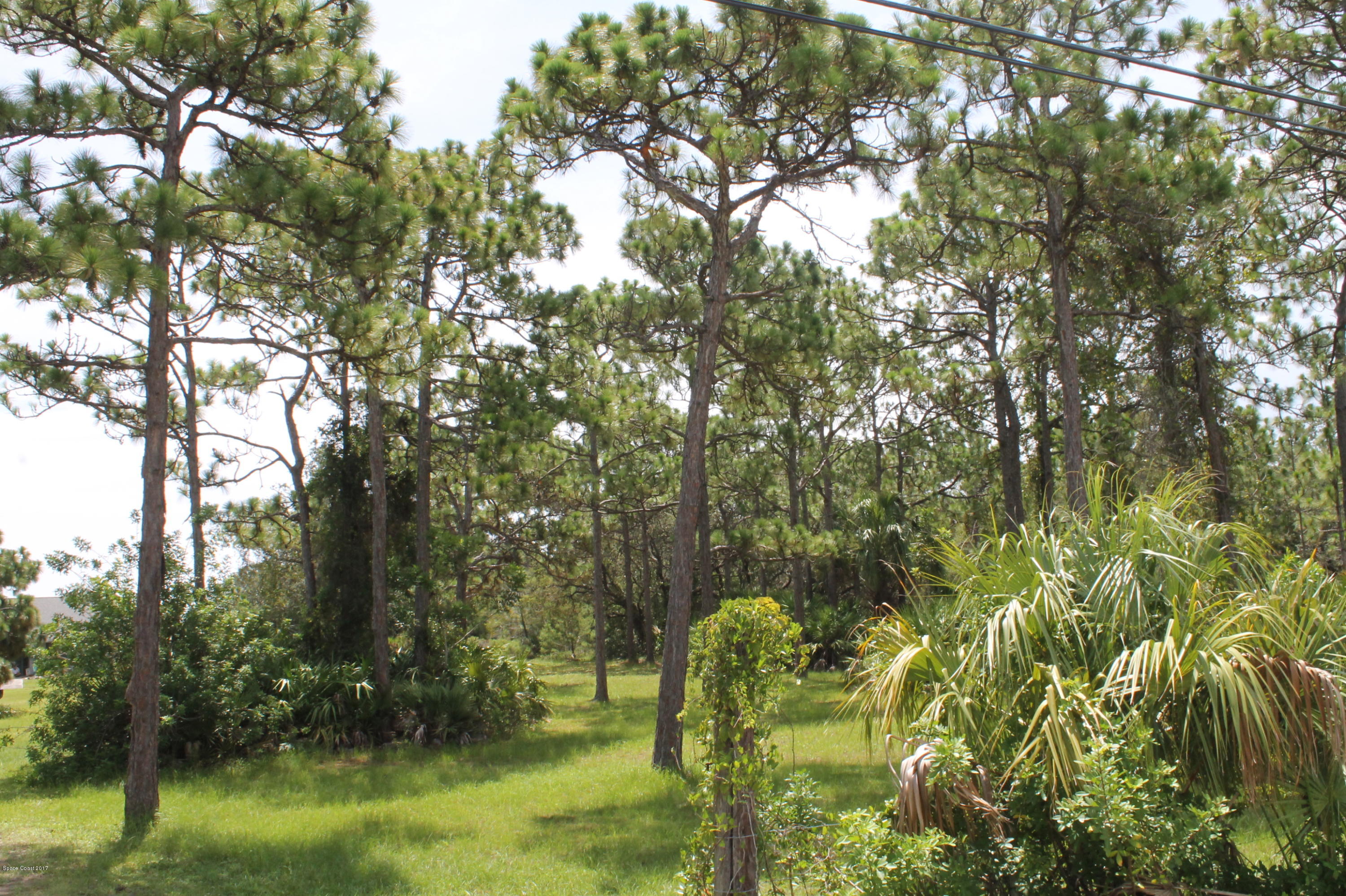 1315 Corey Road Malabar, FL 32950 - Photo 20 of 38 IMG_5295