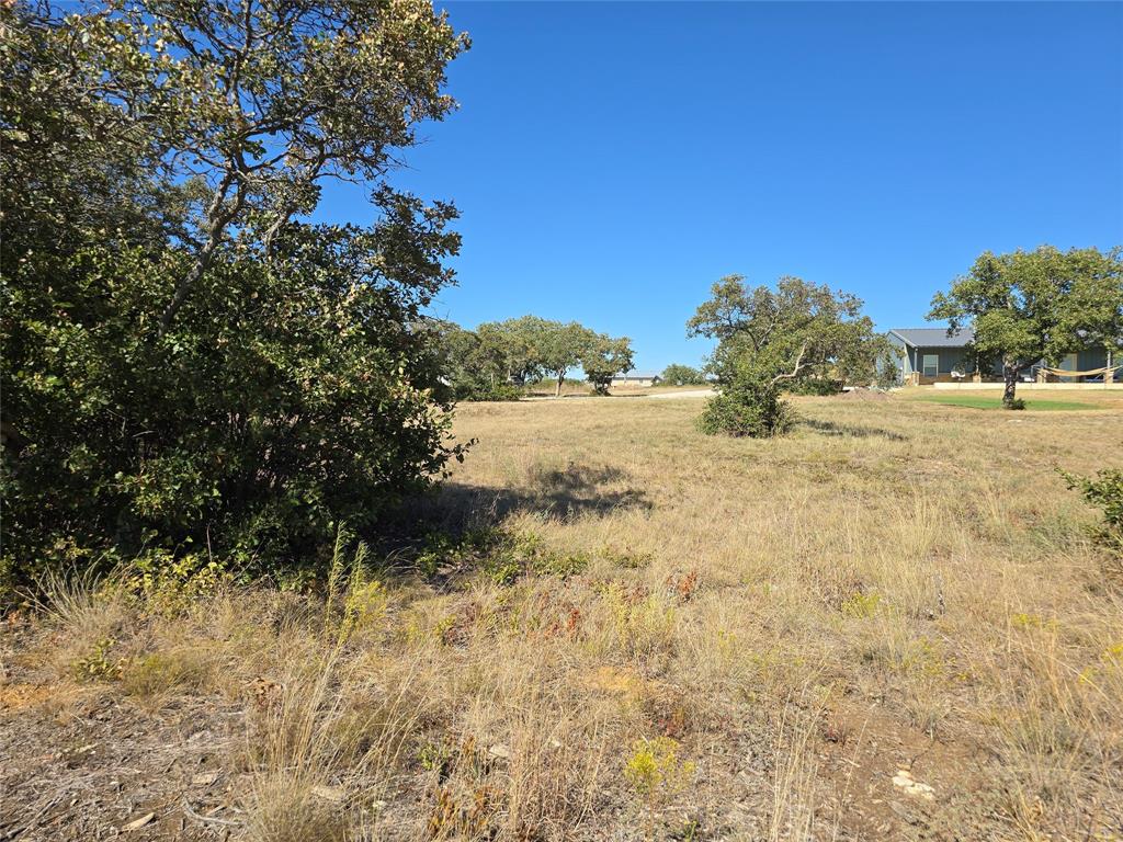 133 Scenic Ridge Drive, Unit LOT 22 Cisco, TX 76437 - Photo 12 of 22 a view of a yard with a tree