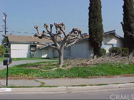 6325 Rustic Lane Riverside, CA 92509 - Photo 1 of 1 a large tree in front of a house