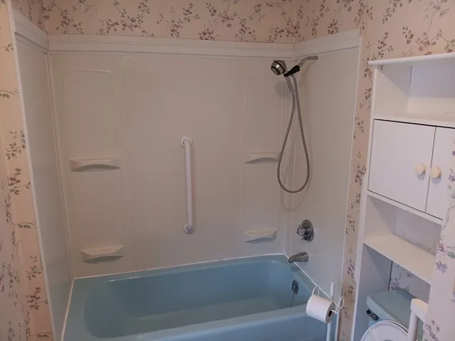 a bathroom with a bath tub and a shower