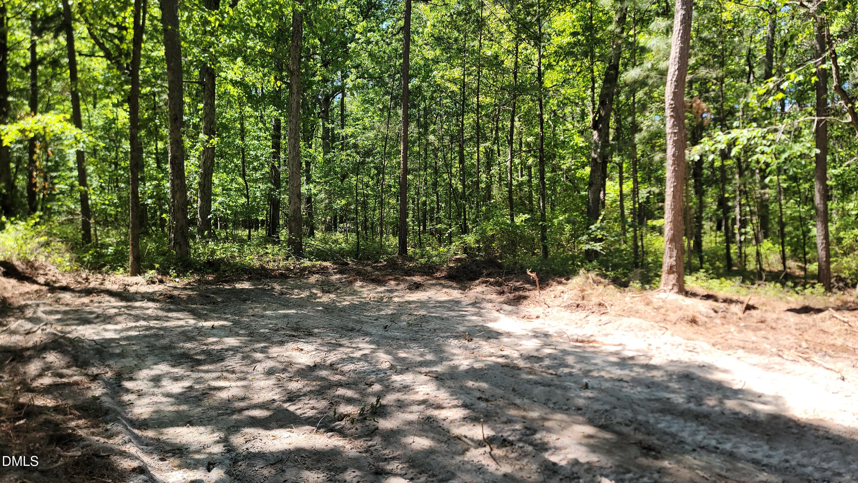 2 Huntsboro Road Oxford, NC 27565 - Photo 7 of 8 a pathway of a yard