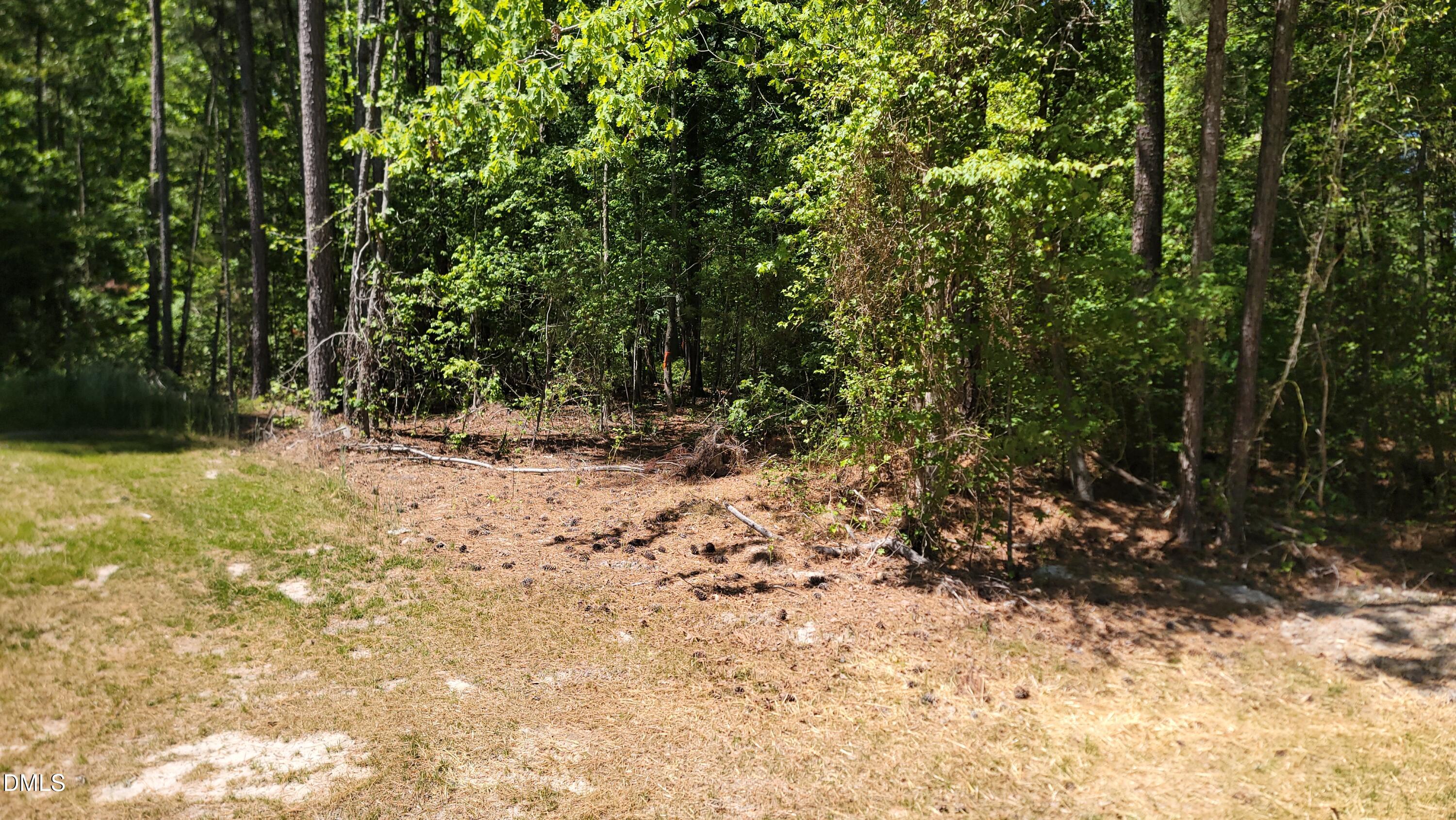 2 Huntsboro Road Oxford, NC 27565 - Photo 8 of 8 a view of a yard with plants and trees