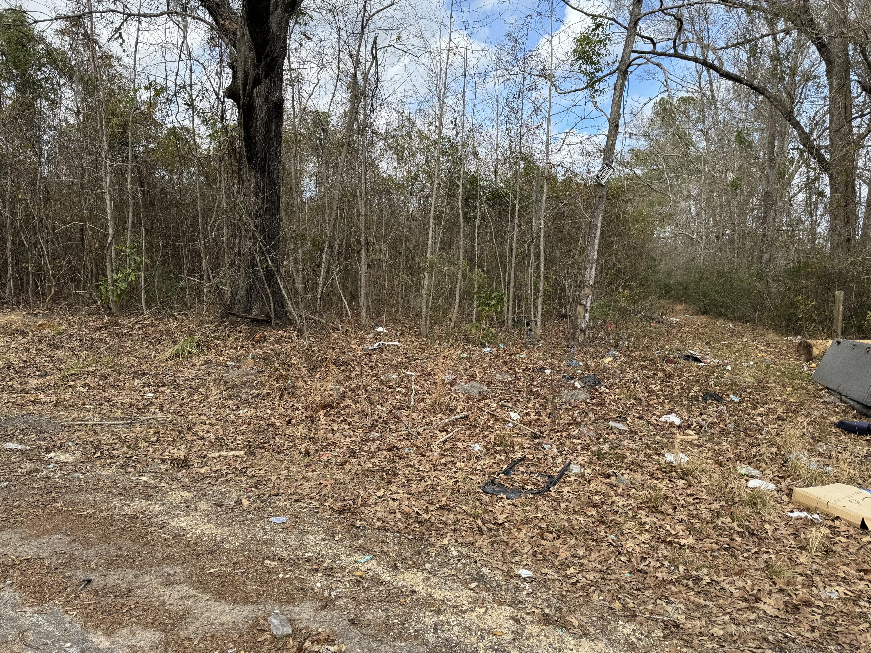 5510 Mauss Hill Road Hollywood, SC 29449 - Photo 2 of 8 IMG_0304