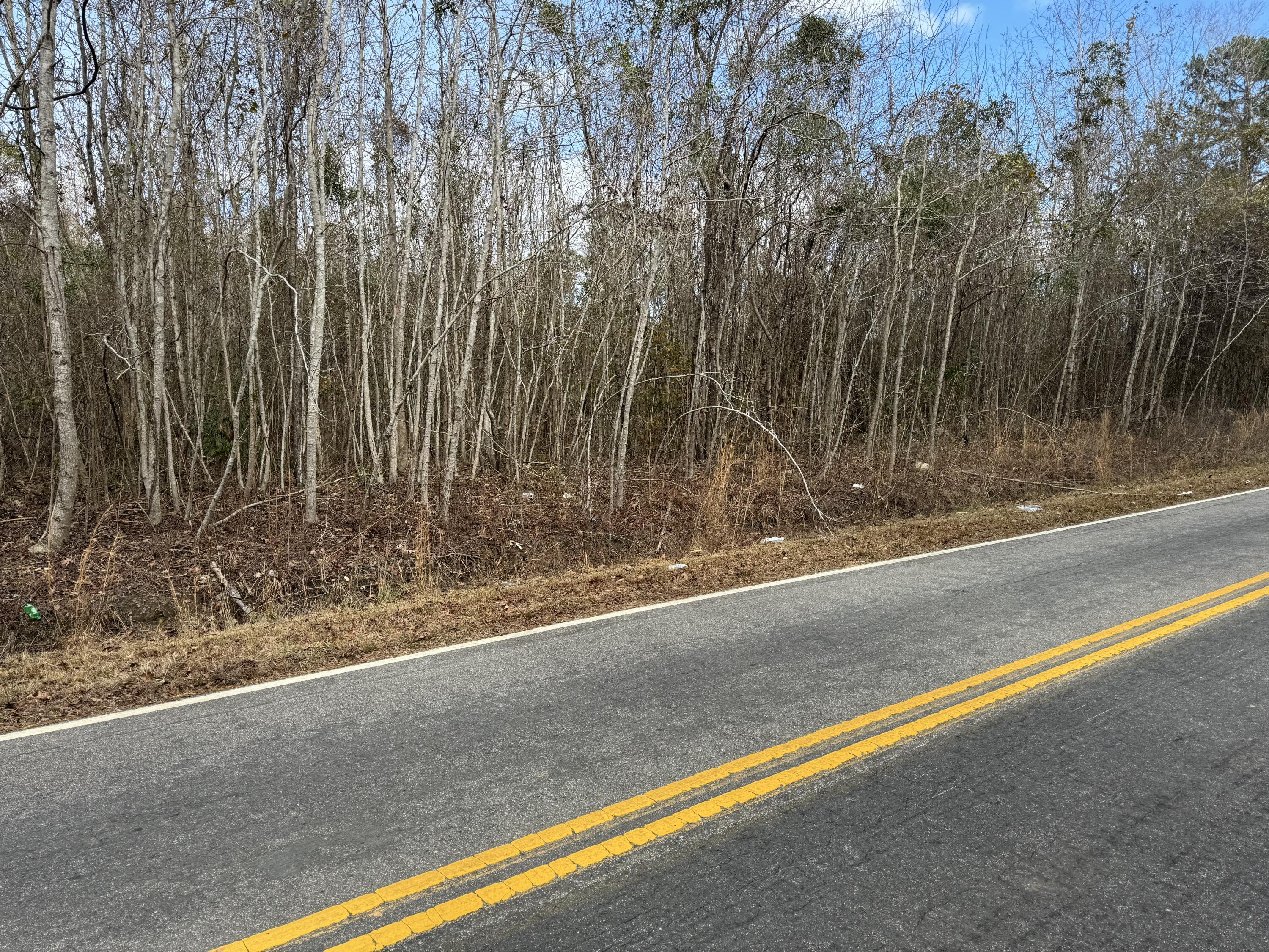 5510 Mauss Hill Road Hollywood, SC 29449 - Photo 3 of 8 IMG_0302