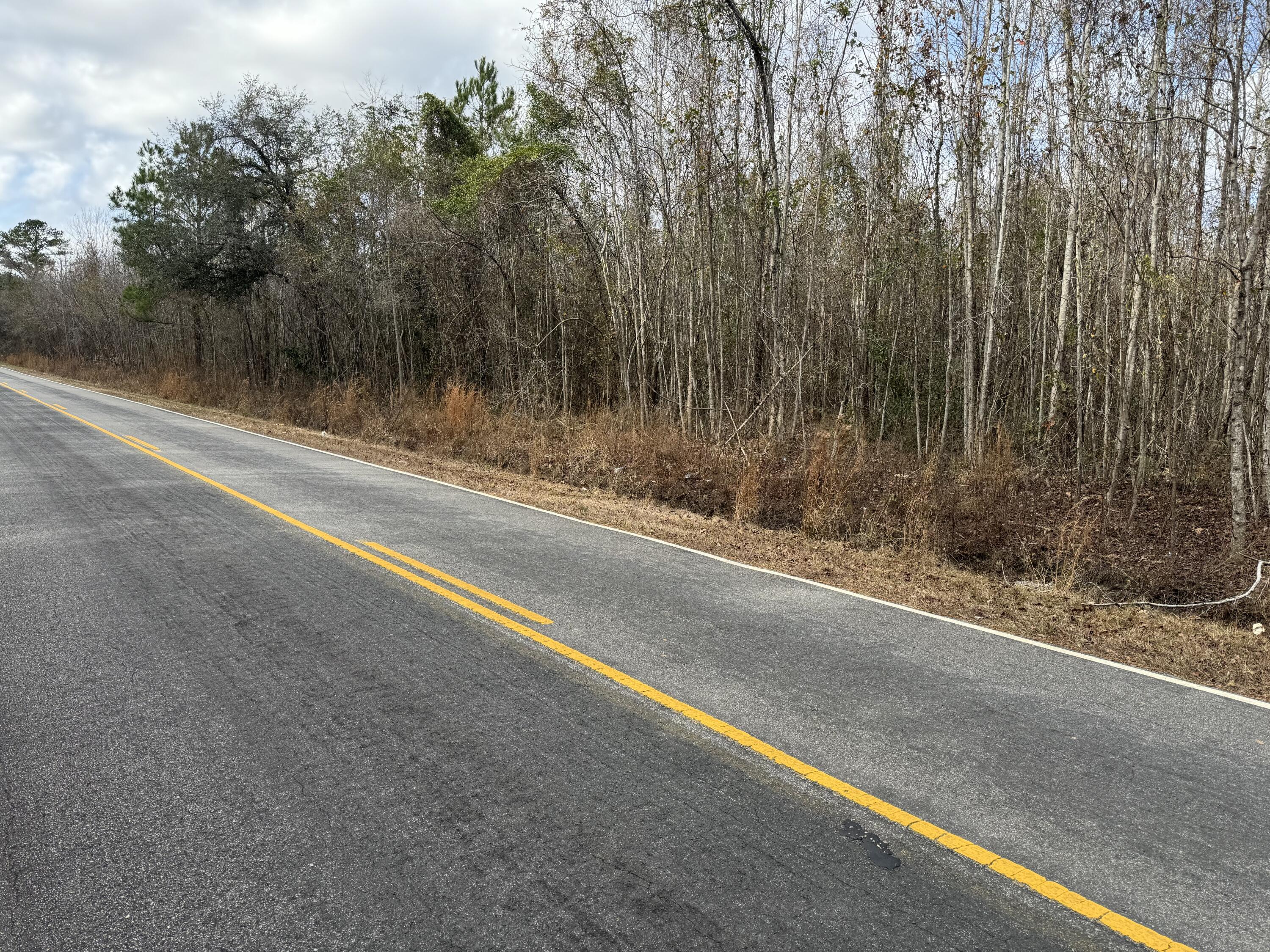 5510 Mauss Hill Road Hollywood, SC 29449 - Photo 4 of 8 IMG_0301