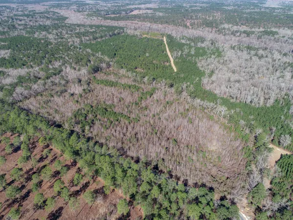 $450,000 | 5510 Mauss Hill Road, Hollywood, SC 29449