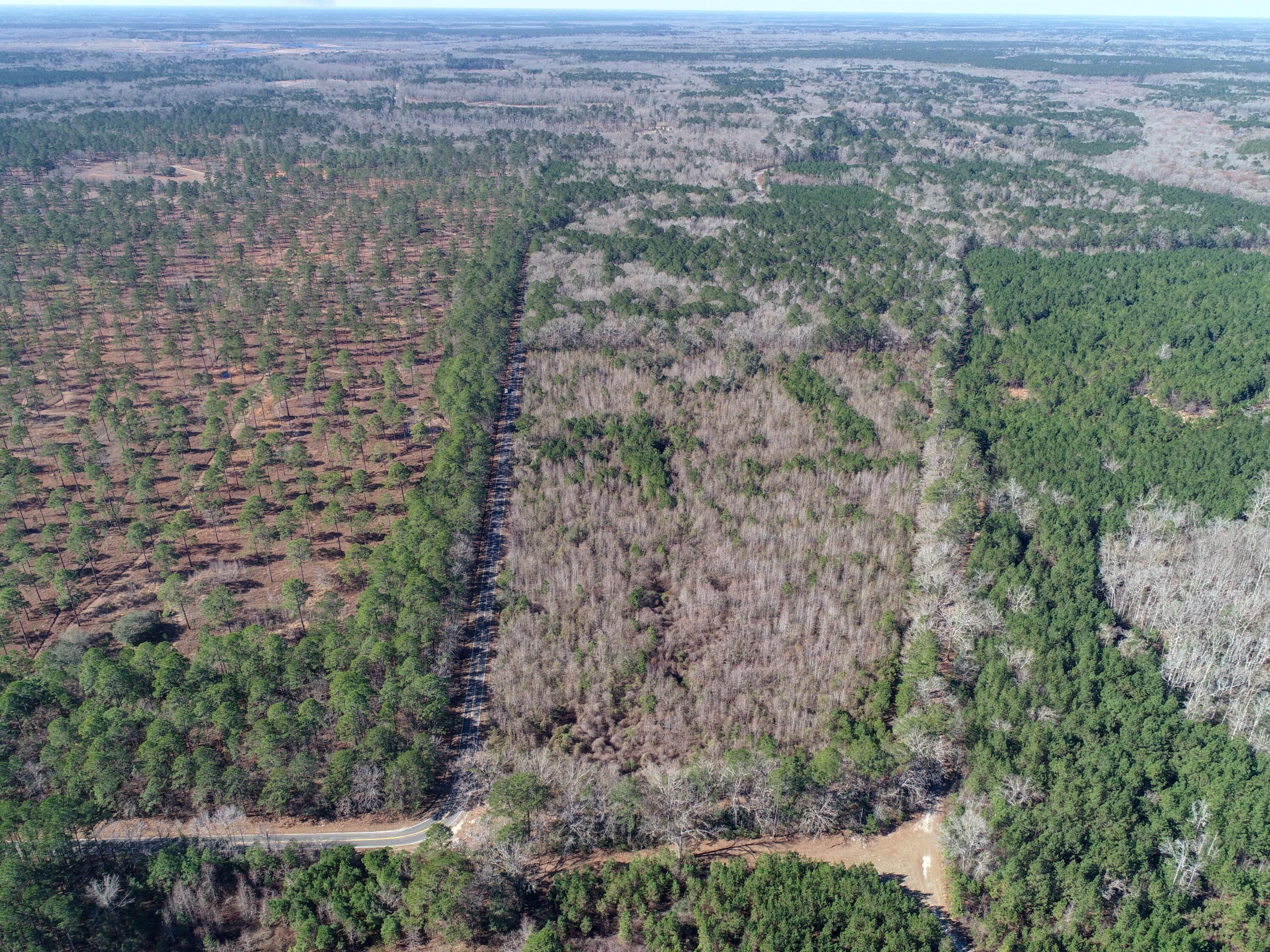 5510 Mauss Hill Road Hollywood, SC 29449 - Photo 7 of 8 DJI_0010_4857x3642