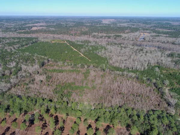 $450,000 | 5510 Mauss Hill Road, Hollywood, SC 29449