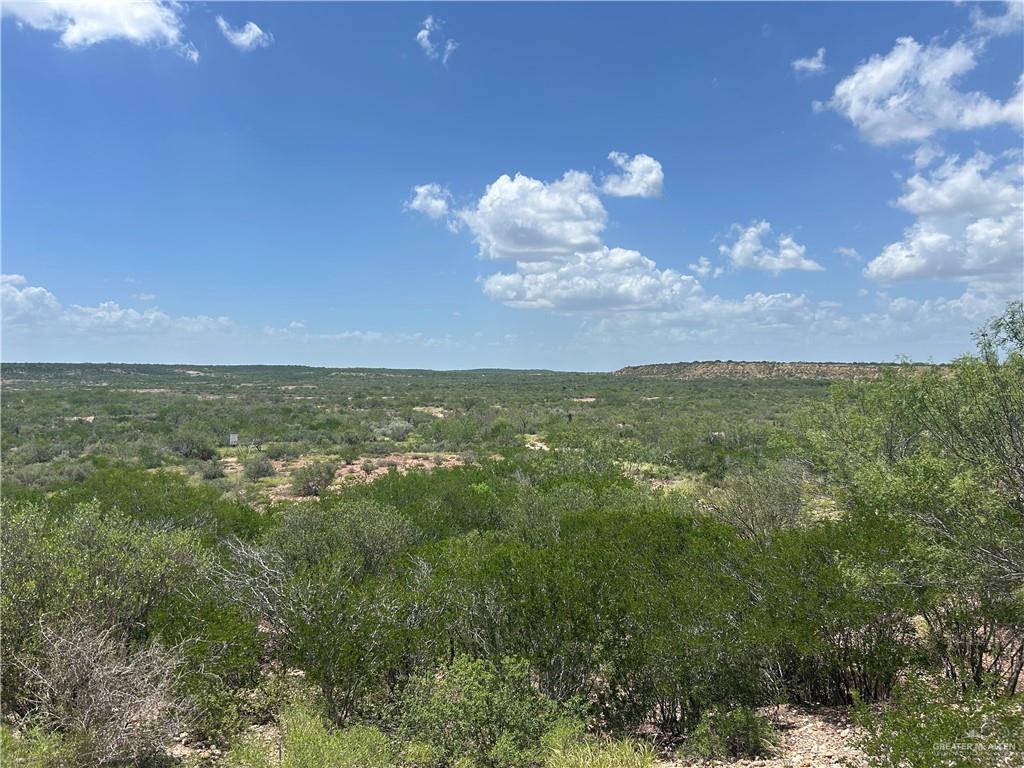Tbd Alejandrenas Road Zapata, TX 78076 - Photo 6 of 6