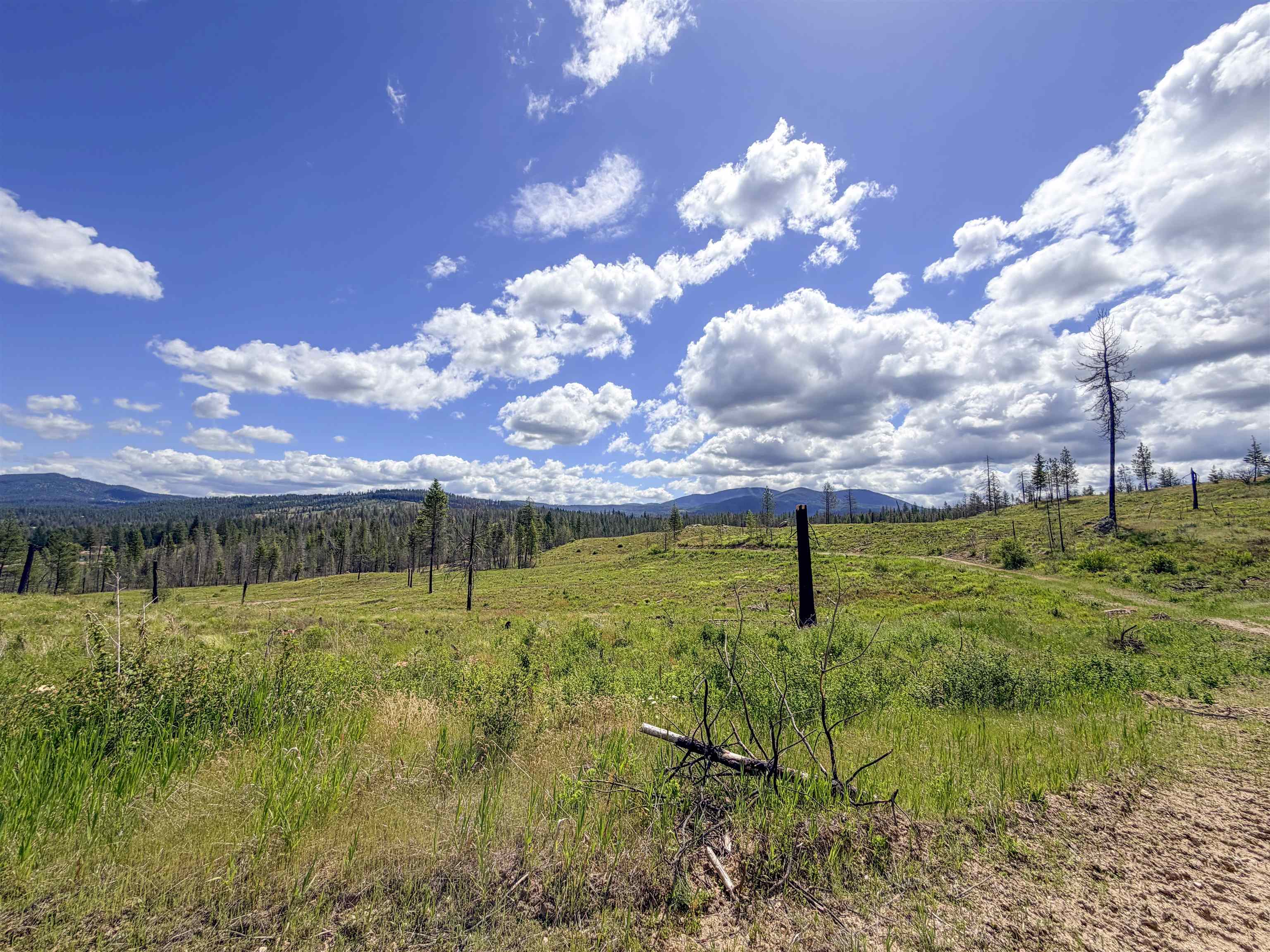 357-xx North Conklin Road Elk, WA 99009 - Photo 34 of 40 Gallery Image 34