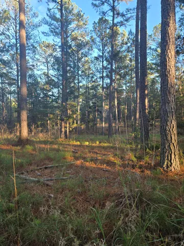 $1,100,000 | 0 Pineridge Drive, Lincolnton, GA 30817