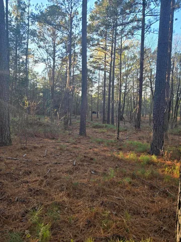 $1,100,000 | 0 Pineridge Drive, Lincolnton, GA 30817