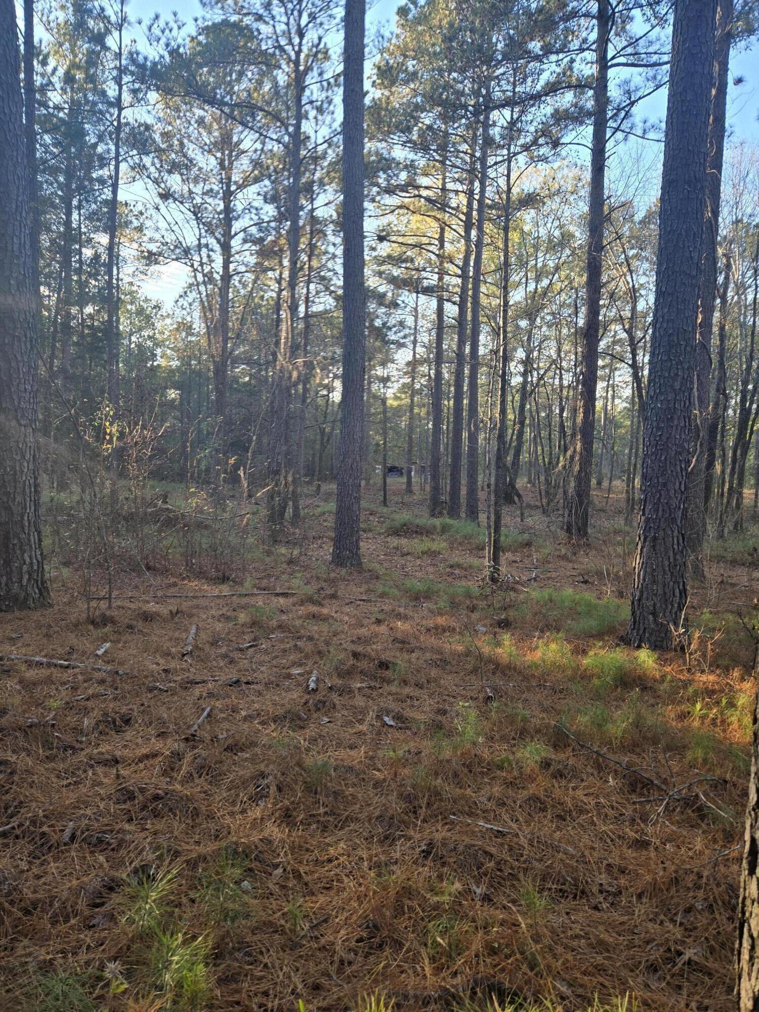 0 Pineridge Drive Lincolnton, GA 30817 - Photo 12 of 28 20251210_162111