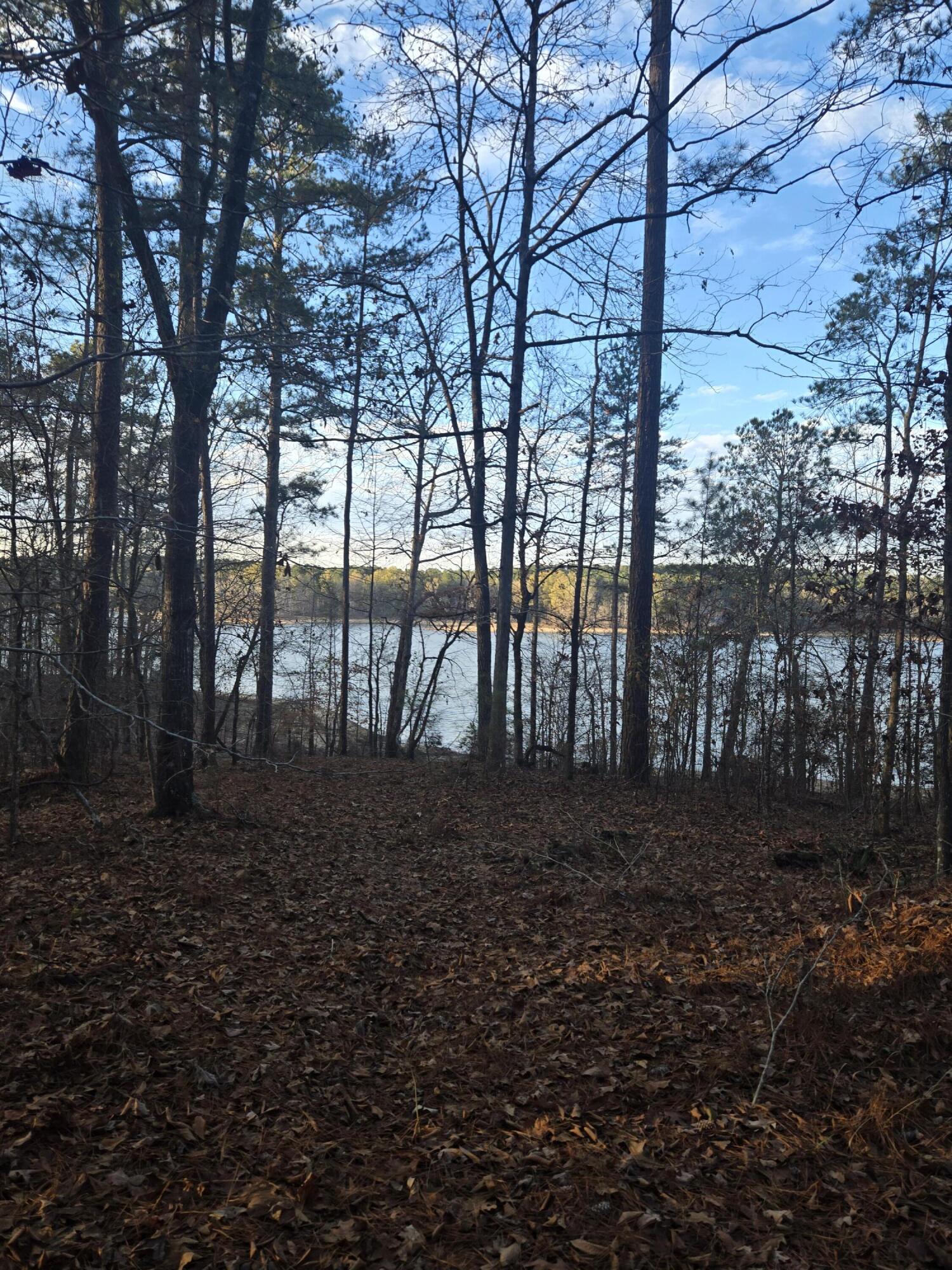 0 Pineridge Drive Lincolnton, GA 30817 - Photo 13 of 28 20251210_163524