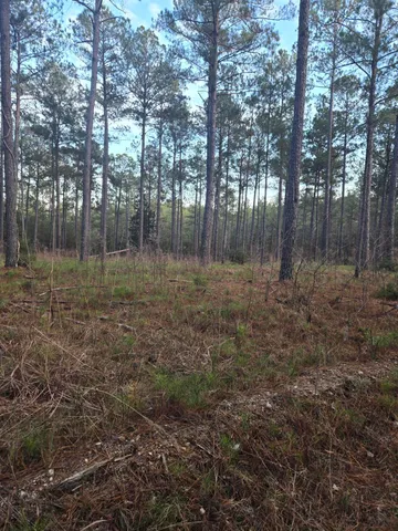 $1,100,000 | 0 Pineridge Drive, Lincolnton, GA 30817