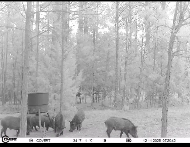 $1,100,000 | 0 Pineridge Drive, Lincolnton, GA 30817