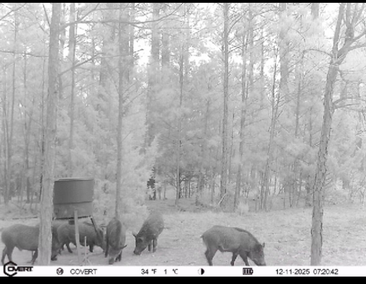 0 Pineridge Drive Lincolnton, GA 30817 - Photo 20 of 28 IMG_20251212_130330