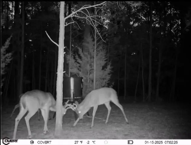 $1,100,000 | 0 Pineridge Drive, Lincolnton, GA 30817