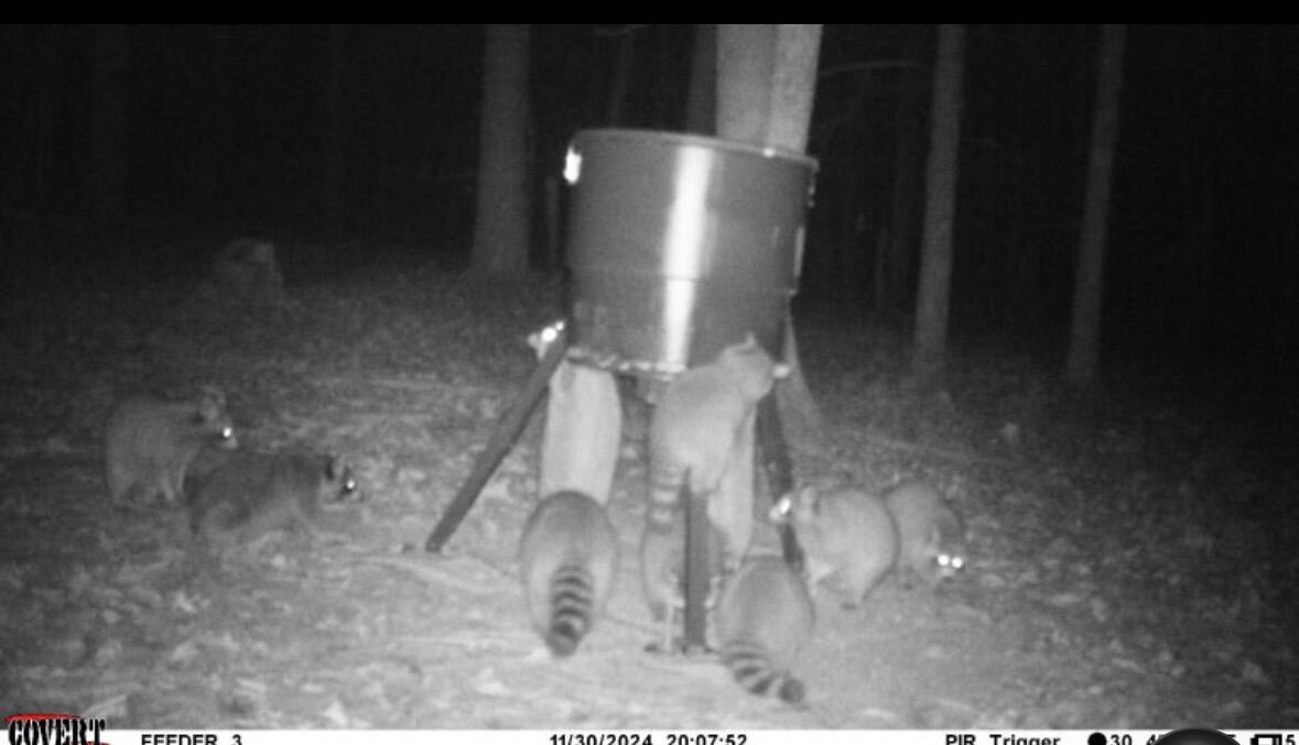 0 Pineridge Drive Lincolnton, GA 30817 - Photo 23 of 28 IMG_20251212_130346