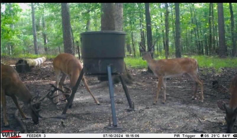 0 Pineridge Drive Lincolnton, GA 30817 - Photo 25 of 28 IMG_20251212_130355