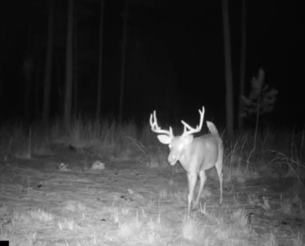 $1,100,000 | 0 Pineridge Drive, Lincolnton, GA 30817