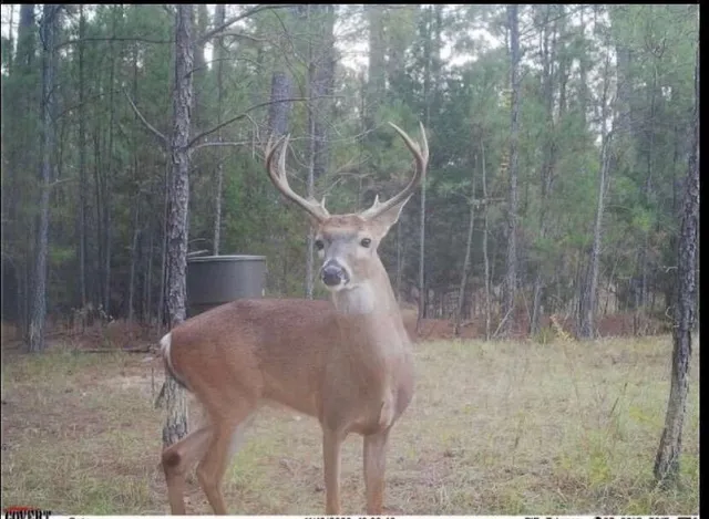 $1,100,000 | 0 Pineridge Drive, Lincolnton, GA 30817