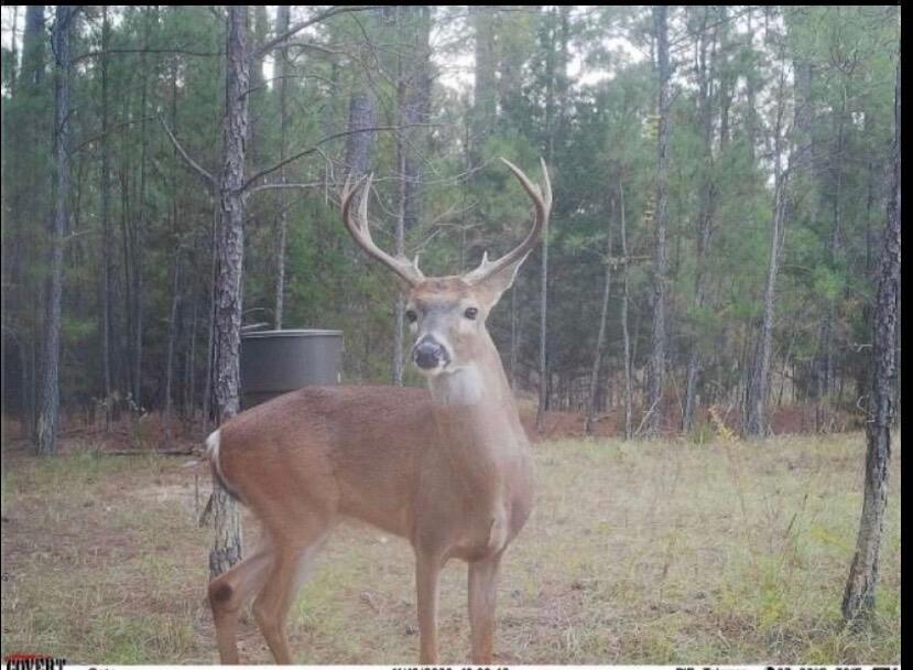 0 Pineridge Drive Lincolnton, GA 30817 - Photo 27 of 28 IMG_20251212_130411