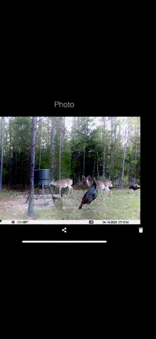 $1,100,000 | 0 Pineridge Drive, Lincolnton, GA 30817