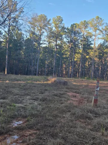 $1,100,000 | 0 Pineridge Drive, Lincolnton, GA 30817