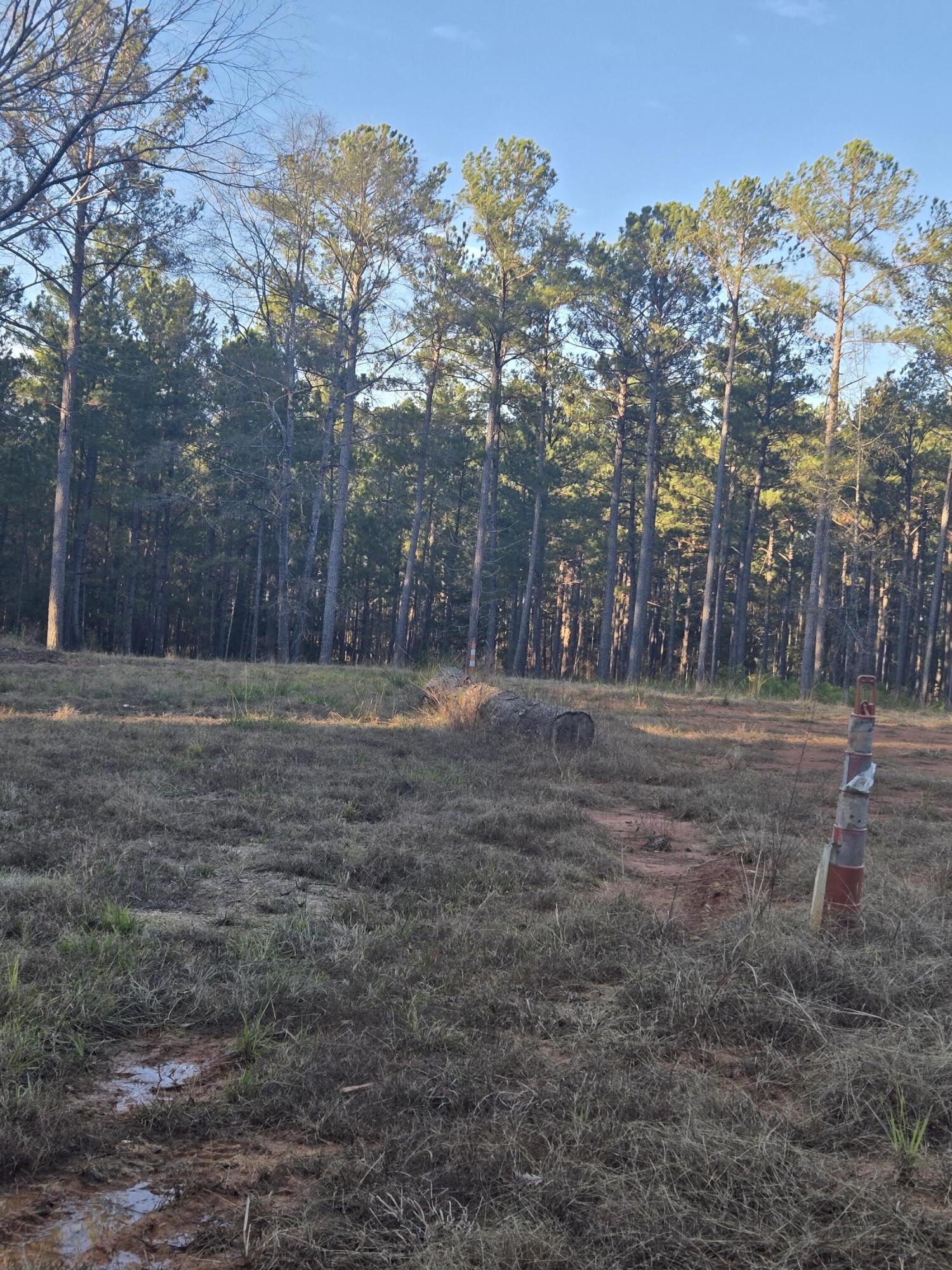 0 Pineridge Drive Lincolnton, GA 30817 - Photo 3 of 28 20251210_161441