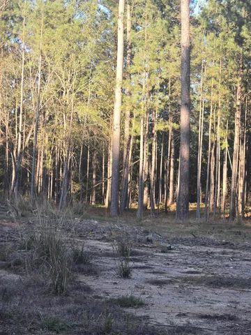 $1,100,000 | 0 Pineridge Drive, Lincolnton, GA 30817