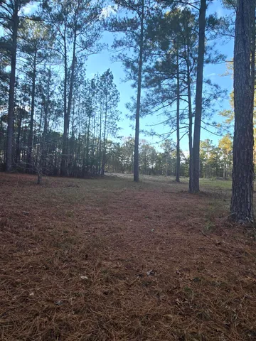 $1,100,000 | 0 Pineridge Drive, Lincolnton, GA 30817