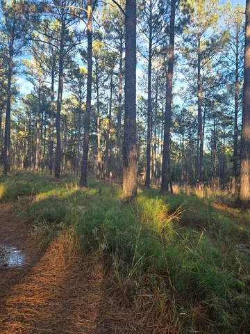 $1,100,000 | 0 Pineridge Drive, Lincolnton, GA 30817