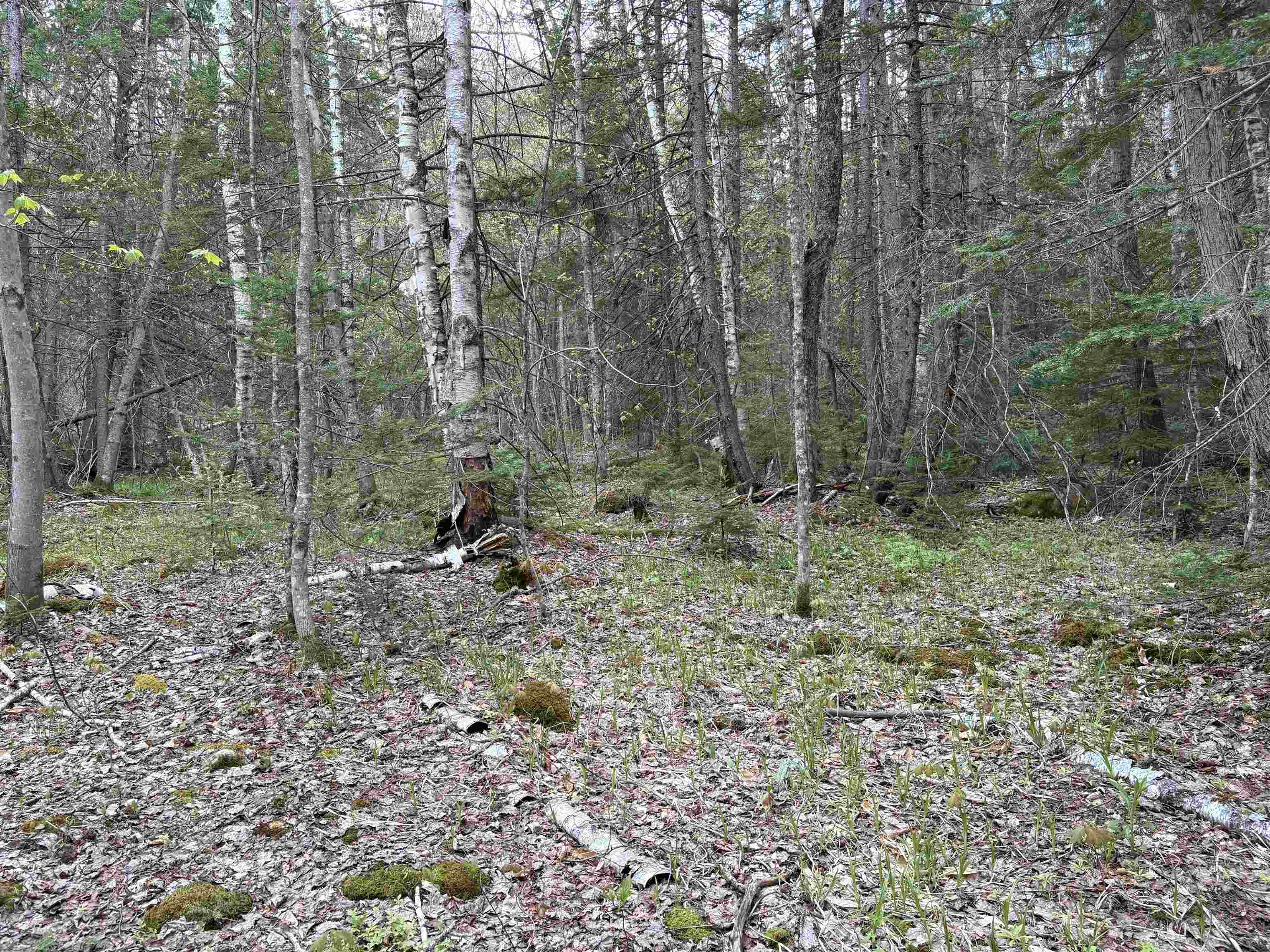 0 East Hill Road Andover, VT 05143 - Photo 7 of 17